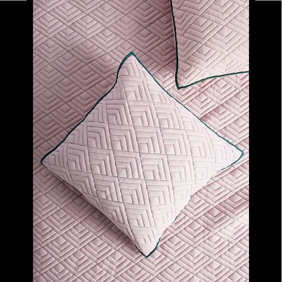 Anthropologie Other - Anthropologie - Euro Sham (pair)